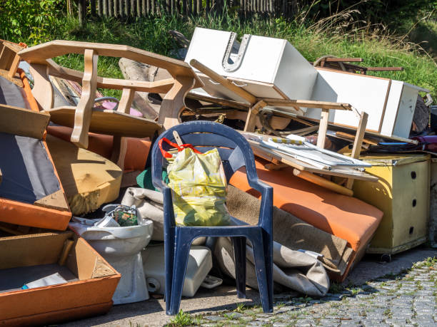 Best Furniture Removal Near Me  in Grand Marais, MN