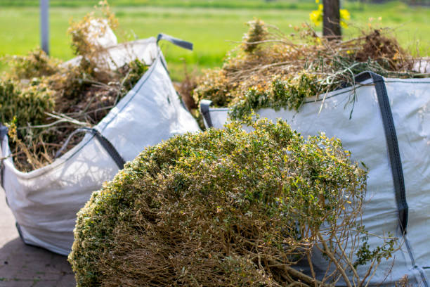 Best Office Junk Removal  in Grand Marais, MN