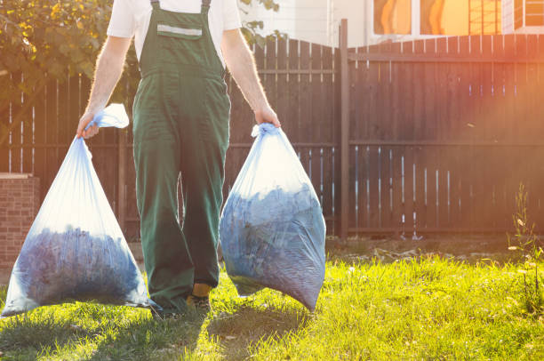 Best Same-Day Junk Removal  in Grand Marais, MN